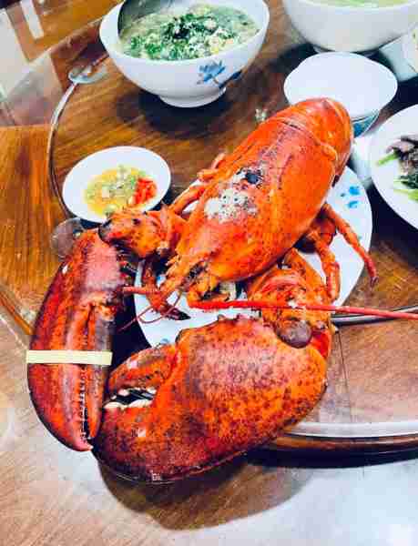 Lobster🦞
