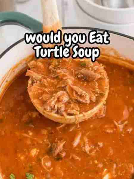 Turtle Soup In a heavy pot, brown diced turtle meat (or beef/veal as a substitute) in butter. Add ch...