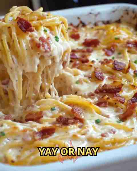 Bacon Cream Cheese Baked Spaghetti Ingredients 4 cups milk 1 (10.5 oz) can condensed cream of bacon...