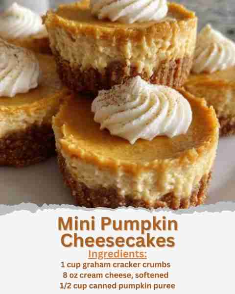 Mini Pumpkin Cheesecakes Ingredients: - 1 cup graham cracker crumbs - 2 tablespoons melted butter -...