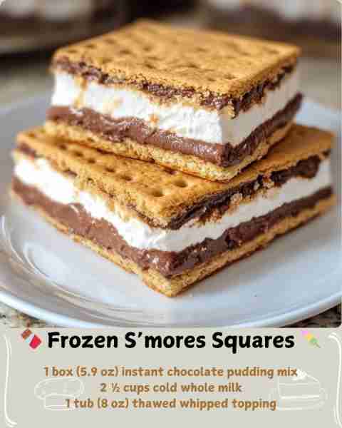 🍫 Frozen S’mores Squares 🍡 Ingredients 1 box (5.9 oz) instant chocolate pudding mix 2 ½ cups cold...