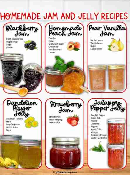 🫐 HOMEMADE JAM and JELLY RECIPES Pick something from this list to make! GET THEM BELOW