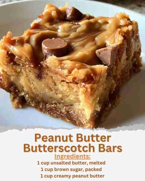 Peanut Butter Butterscotch Bars Ingredients: - 1 cup unsalted butter, melted - 1 cup brown sugar, pa...
