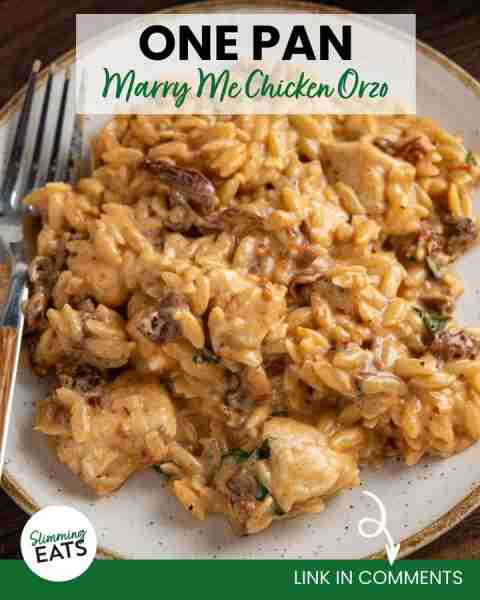 This One-Pot Marry Me Chicken Orzo is the perfect blend of tender chicken, creamy sauce, sun-dried t...