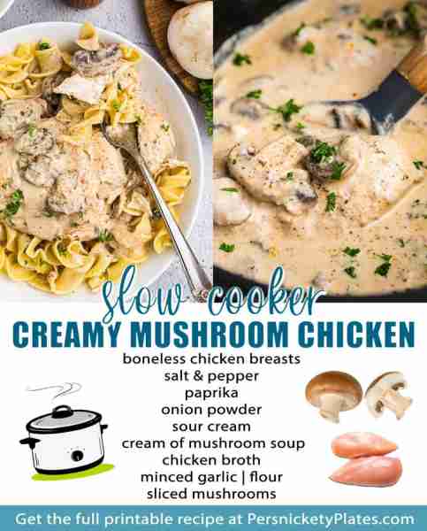 Creamy Mushroom Chicken 🤩