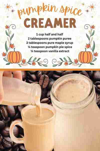 Start off pumpkin season with this homemade Pumpkin Spice Creamer! 🧡