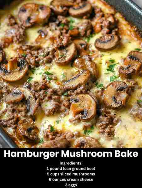 "Brought this Hamburger Mushroom Bake to a family dinner gathering and everyone liked it, even the p...