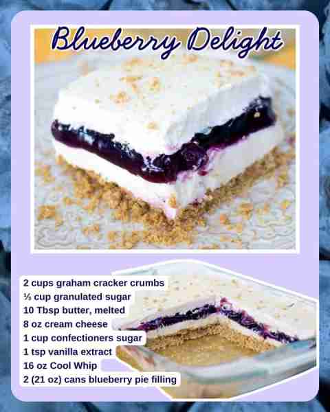 NO-BAKE BLUEBERRY DELIGHT 💙 🫐 2 cups graham cracker crumbs 🫐 ⅓ cup granulated sugar 🫐 10 Tbsp bu...