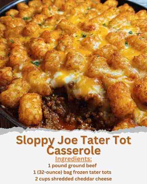 Sloppy Joe Tater Tot Casserole Ingredients: - 1 pound ground beef - 1 small onion, chopped - 1 cup k...