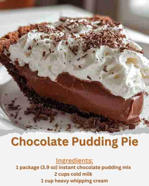 Chocolate Pudding Pie Ingredients: - 1 prepared pie crust (9-inch) - 1 package (3.9 oz) instant choc...