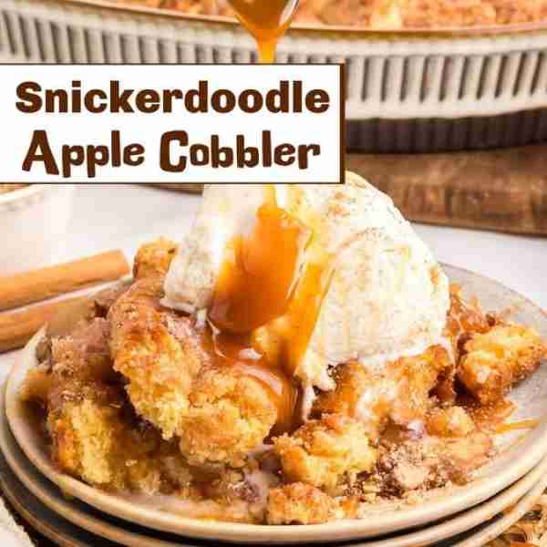Snickerdoodle Apple Cobbler ⬇️ LINK IN COMMENTS ⬇️