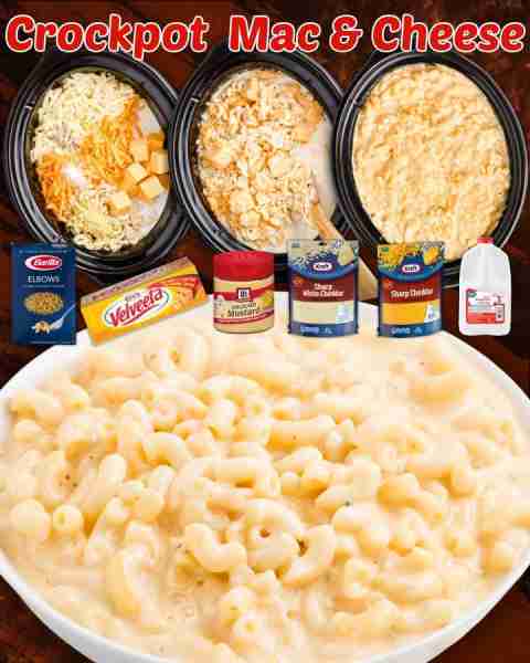 THE CREAMIEST CROCKPOT MAC AND CHEESE! 16 oz box elbow macaroni noodles 4 cups whole milk 8 oz block...