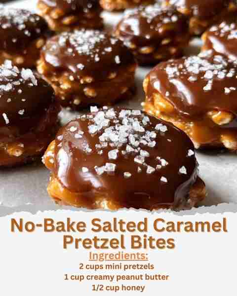 No-Bake Salted Caramel Pretzel Bites Ingredients: - 2 cups mini pretzels - 1 cup creamy peanut butte...