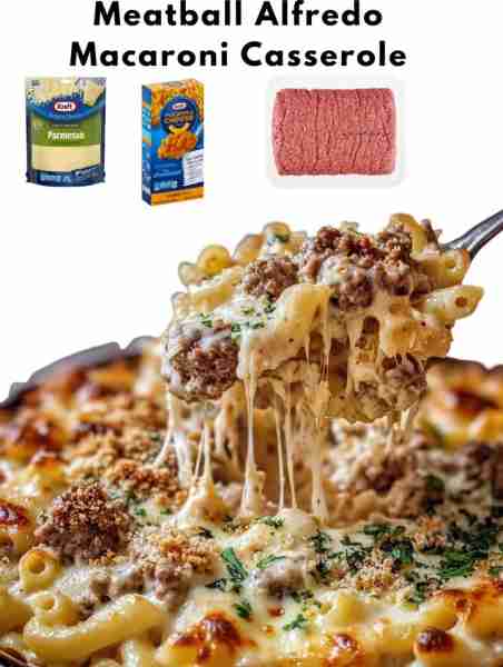 Meatball Alfredo Macaroni Casserole Ingredients: - 1 pound ground beef - 1/2 cup breadcrumbs - 1/4 c...