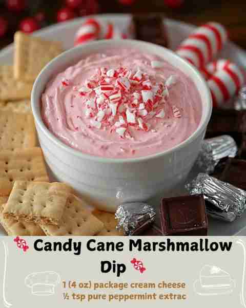 🍬 Candy Cane Marshmallow Dip 🍬 Ingredients For the Dip 1 (10 oz) bag white chocolate chips (or whi...