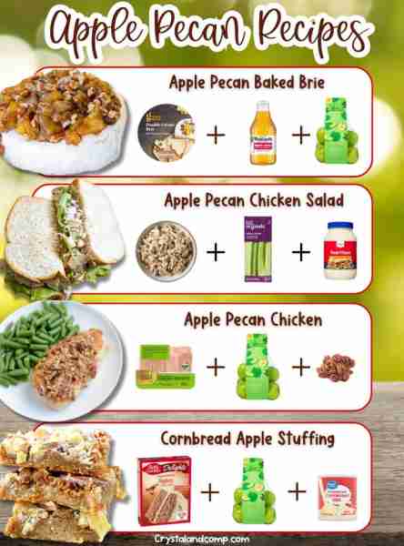 🍎 20 APPLE PECAN RECIPES So many recipes that taste like Fall! GET THE LIST IN THE COMMENTS