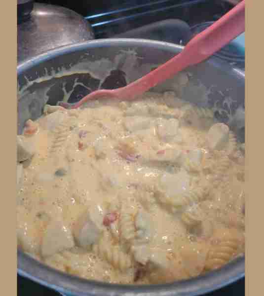 16 oz Velveeta 1 can cream of chicken 1 can of milk (use the soup can) 1 can of Rotel 1 box of Rotin...