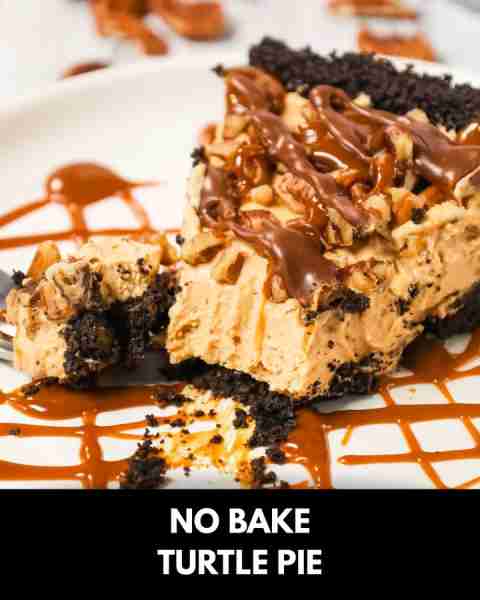 Turtle Pie is a delicious no bake cheesecake pie in an Oreo crust and loaded with caramel sauce, mil...