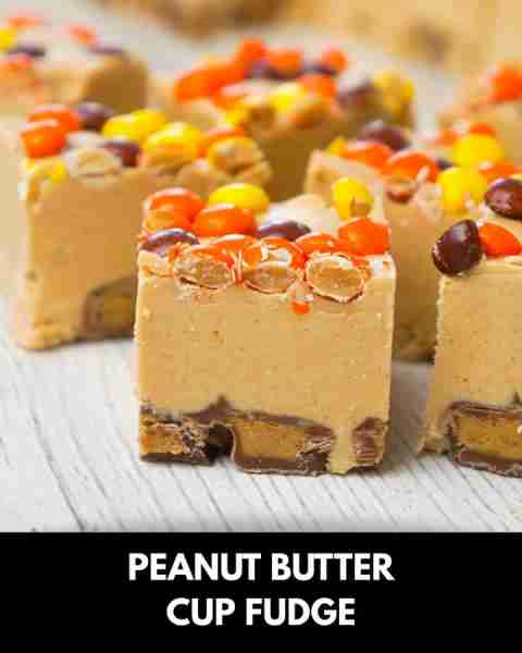 Peanut Butter Cup Fudge is an easy microwave fudge recipe made with vanilla frosting, peanut butter...