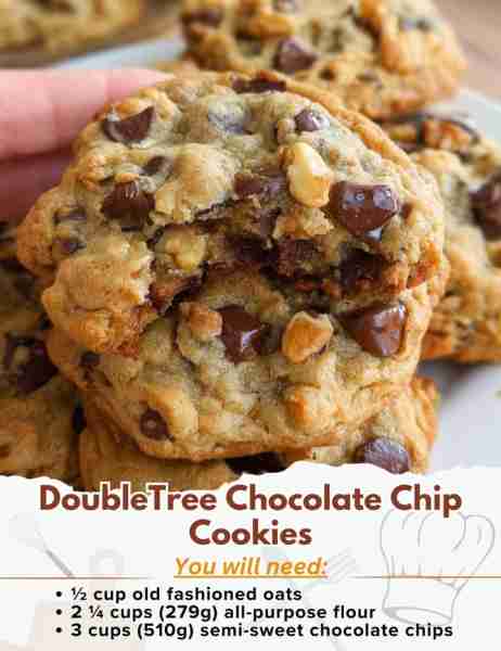 DoubleTree Chocolate Chip Cookies Ingredients: - ½ cup old fashioned oats - 2 ¼ cups (279g) all-purp...