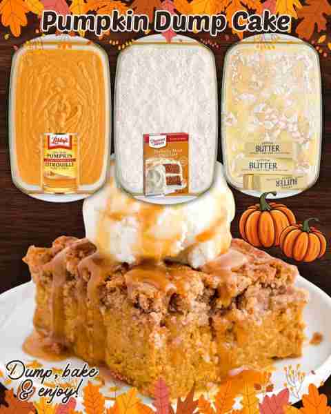 PUMPKIN DUMP CAKE! 2 cans pure pumpkin puree 4 large eggs 12 oz can evaporated milk 1½ cups granulat...