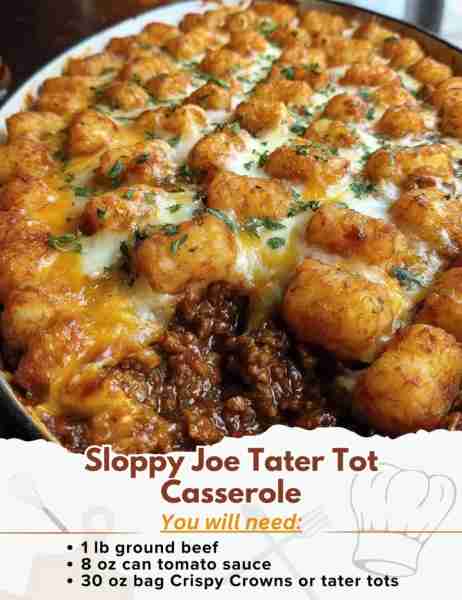 Sloppy Joe Tater Tot Casserole Ingredients: - 1 lb ground beef - 1 onion, chopped - ½ tsp salt - ½ t...