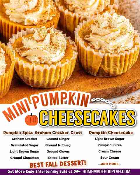 Mini Pumpkin Cheesecakes! 🎃🍰 ⭐RECIPE IN COMMENTS⭐ tap photo to see 📷