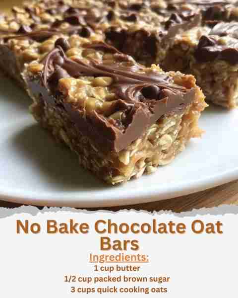 No Bake Chocolate Oat Bars Ingredients: - 1 cup butter - 1/2 cup packed brown sugar - 1 teaspoon van...