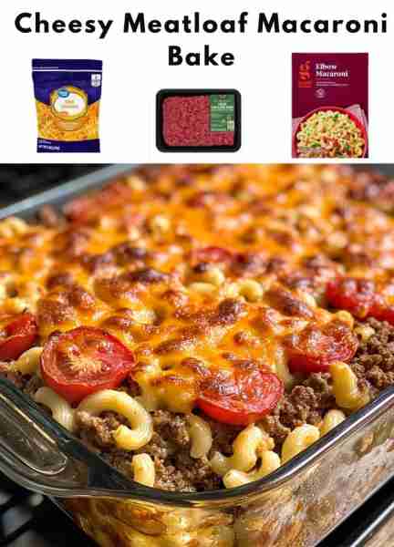 1 pound ground beef - 1 cup macaroni - 1 cup shredded cheddar cheese - 1 can of diced tomatoes - 1/2...