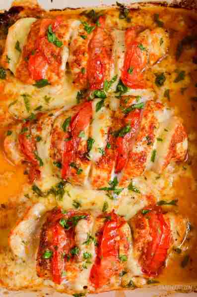 Enjoy this simple but delicious Hasselback Chicken stuffed with mozzarella and ripe tomatoes. Great...