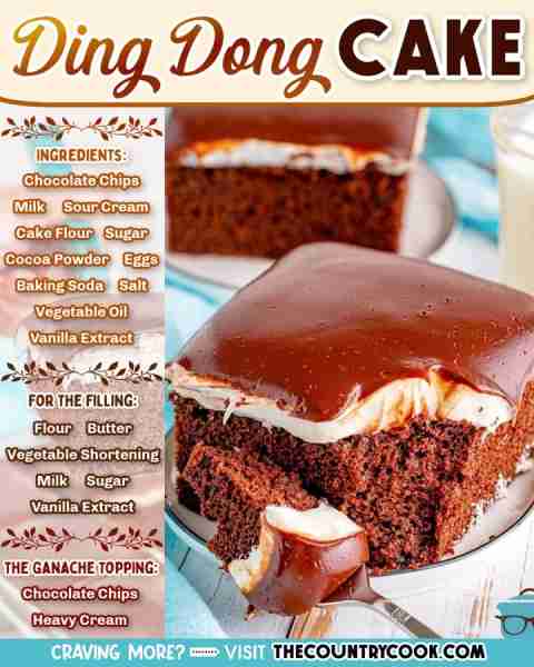 This Ding Dong Cake will take you back to your childhood! A classic chocolate and cream treat turned...