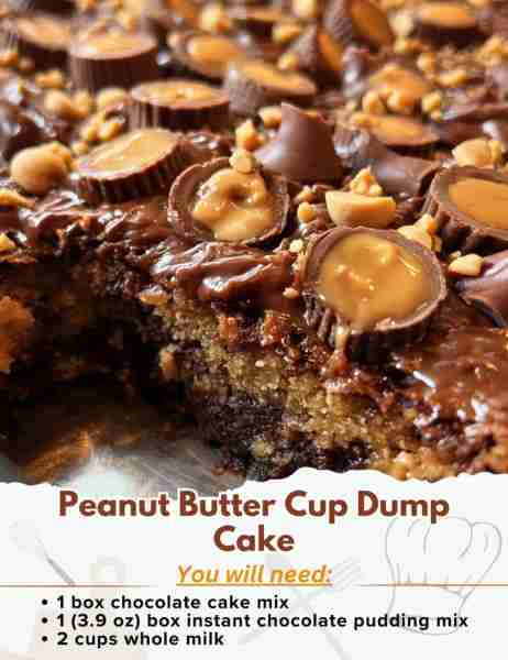 Peanut Butter Cup Dump Cake Ingredients: - 1 box chocolate cake mix - 1 (3.9 oz) box instant chocola...