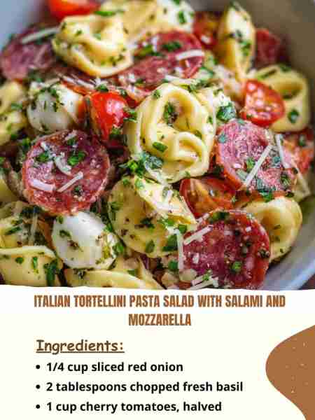 Italian Tortellini Pasta Salad with Salami and Mozzarella Ingredients ¼ cup sliced red onion 2 table...