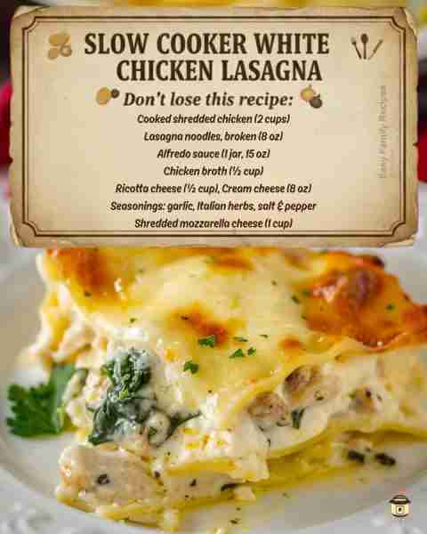 “Lasagna like this brings everyone to the table.” 💛 Layers of chicken, noodles, cream cheese & Alfr...