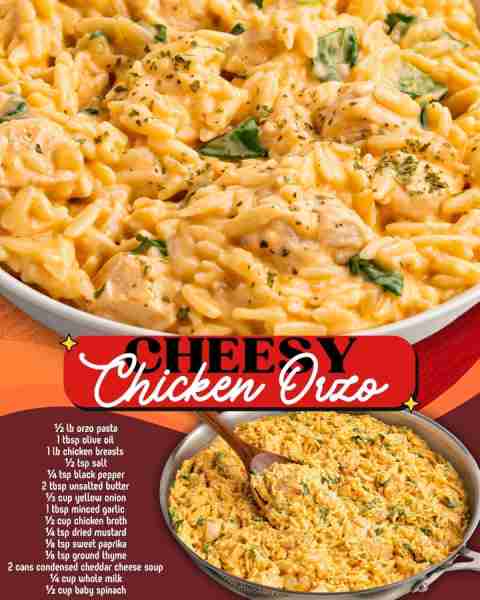 CHEESY CHICKEN ORZO! ½ lb orzo pasta 1 tbsp olive oil 1 lb chicken breasts ½ tsp salt ¼ tsp black pe...