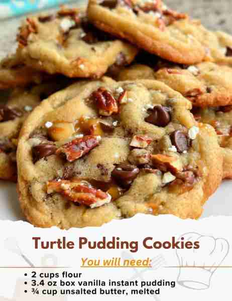 Turtle Pudding Cookies Ingredients: - 2 cups flour - 1 tsp baking soda - ½ tsp salt - 3.4 oz box van...
