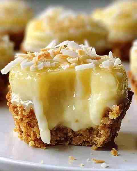 No-Bake Lemon Coconut Mini Pie Recipe Ingredients 1 cup graham cracker crumbs (Crushed into fine cru...
