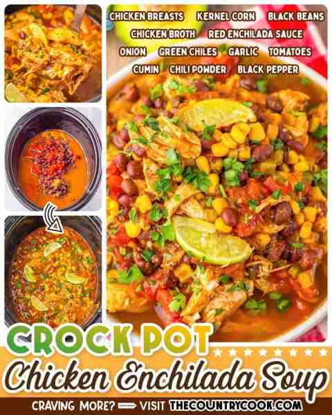 Crock Pot Enchilada Soup is a hearty chicken soup packed with bold flavors. Grab the ingredients, du...