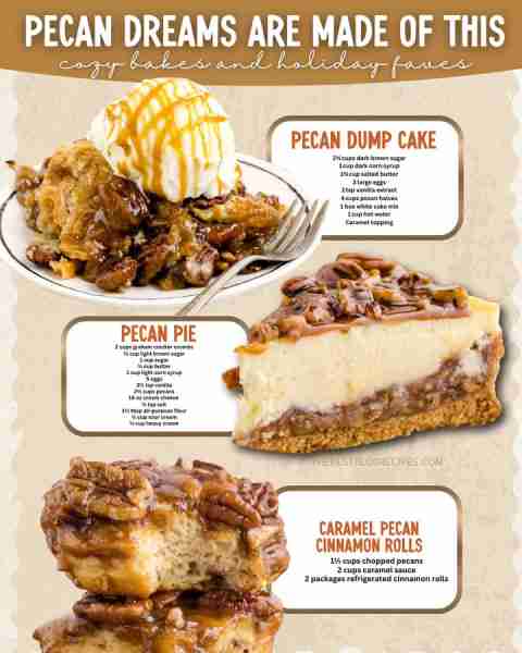 PECAN DESSERTS 3 WAYS 🥧🌰 sweet, nutty & totally irresistible! 1️⃣ PECAN DUMP CAKE 2¾ cups dark bro...