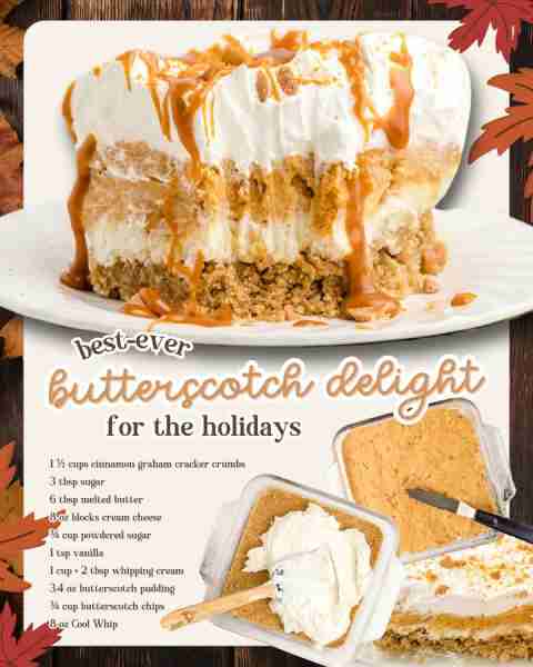 BUTTERSCOTCH DELIGHT -- sweet, creamy & completely irresistible! INGREDIENTS ⬇️ 1½ cups cinnamon gra...