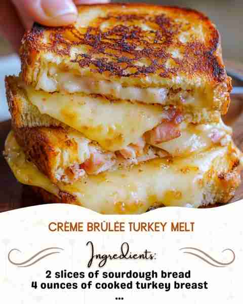 Crème Brûlée Turkey Melt Ingredients: 2 slices of sourdough bread 4 ounces of cooked turkey breast,...