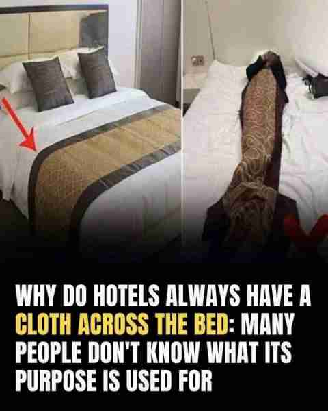 I had no idea 😳