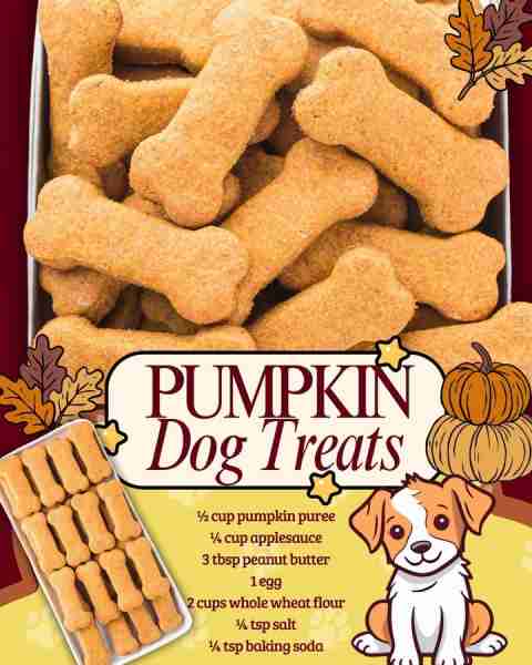PUMPKIN DOG TREATS 🐶 ½ cup pumpkin puree ¼ cup applesauce 3 tbsp peanut butter 1 egg 2 cups whole w...