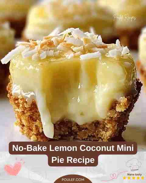 No-Bake Lemon Coconut Mini Pie Recipe Ingredients 1 cup graham cracker crumbs (Crushed into fine cru...