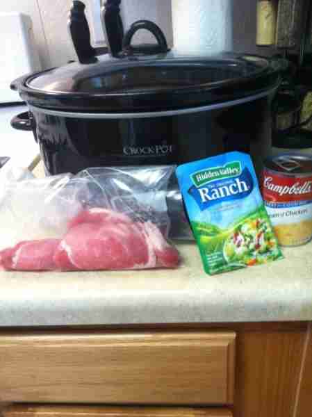 Crockpot Ranch Pork Chops with Parmesan Mashed Potatoes You will need: 6 pork chops, 1/2 inch thick...