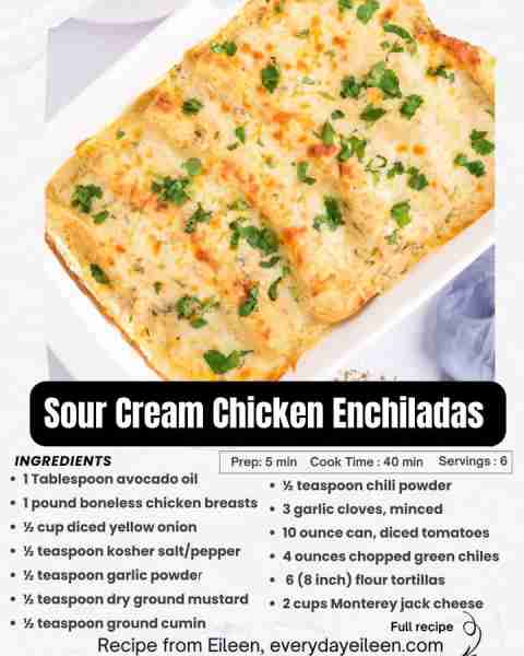 You will love this easy, delicious Sour Cream Chicken Enchiladas. A great make ahead casserole Recip...