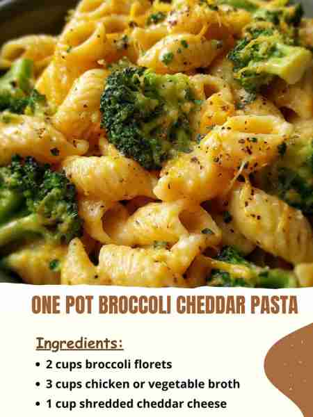 One Pot Broccoli Cheddar Pasta Ingredients 2 cups broccoli florets 3 cups chicken or vegetable brot...