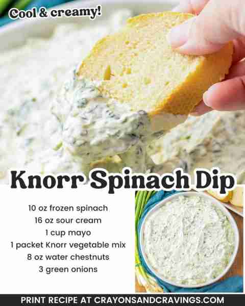 My go-to cold party dip! KNORR SPINACH DIP 🥬 10 oz frozen chopped spinach 🥬 16 oz sour cream 🥬 1...