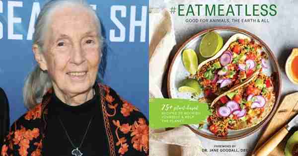 RIP Jane Goodall Thank you for all your amazing work with animals and bringing attention to the plig...