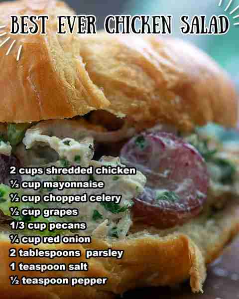 This chicken salad with grapes makes a great sandwich – we love it on a croissant, but it’s good on...